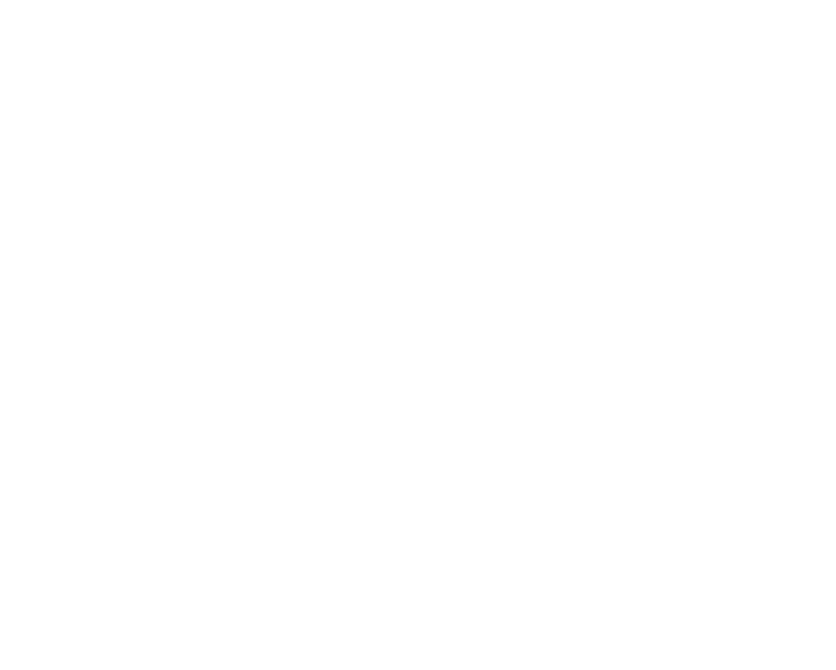 Decorative image; empty ALT text (no content conveyed)