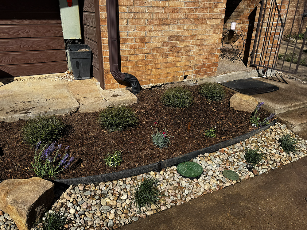 Residential front yard mulch bed with shrubs and purple flowers beside a brick house and downspout.