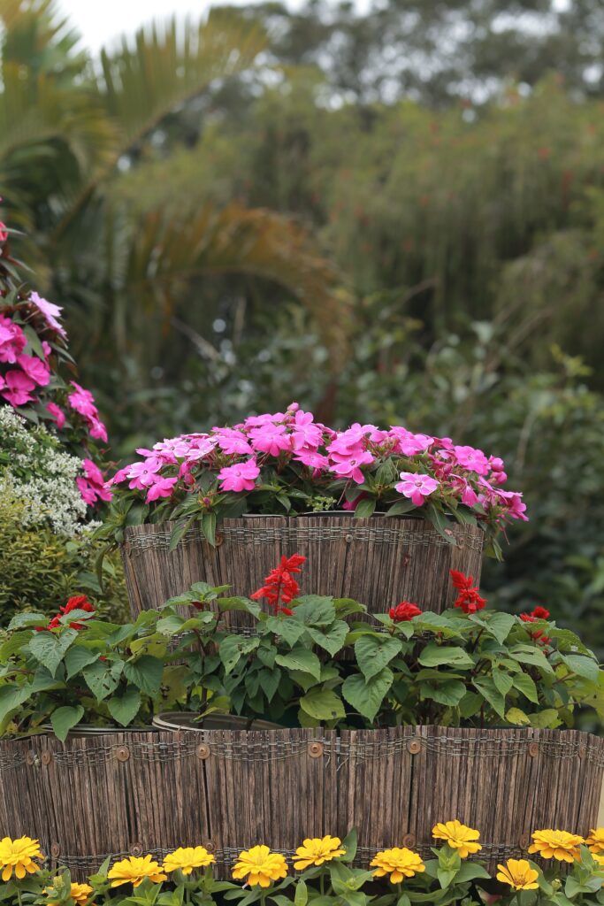 Rustic wooden planter filled with bright pink flowers and green foliage, backed by a garden fence and greenery.