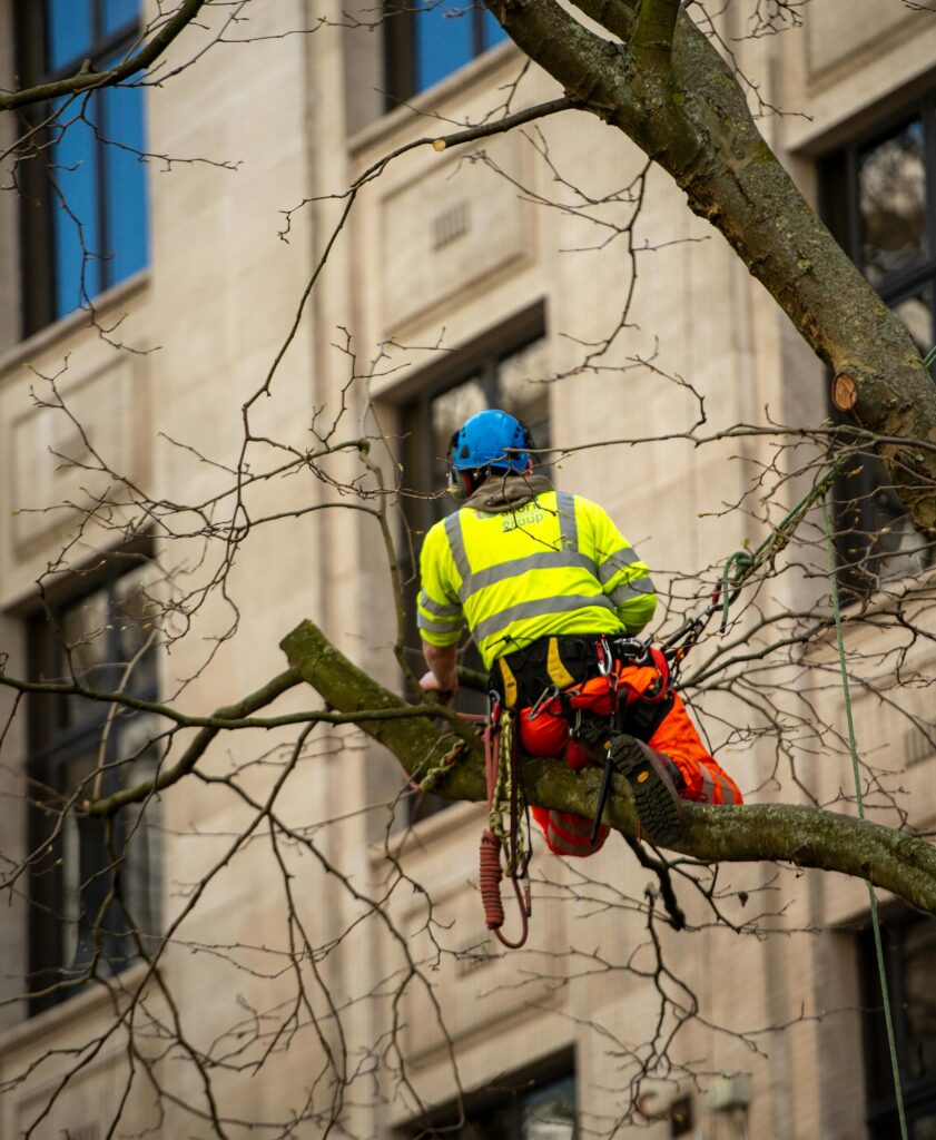 Construction worker in a high-visibility jacket and blue helmet perched on a tree branch beside a beige office building.