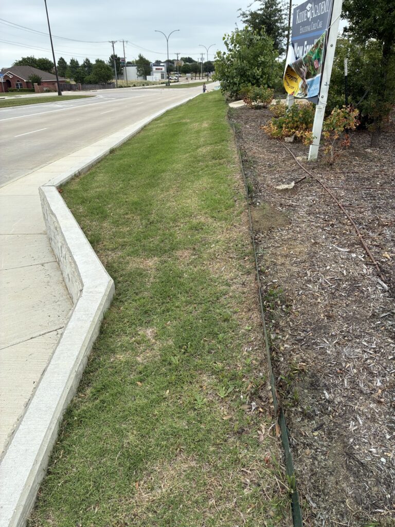 Sidewalk with a grassy median and a low concrete curb, a hose along mulch beds, and a sign on the right in a suburban street scene.