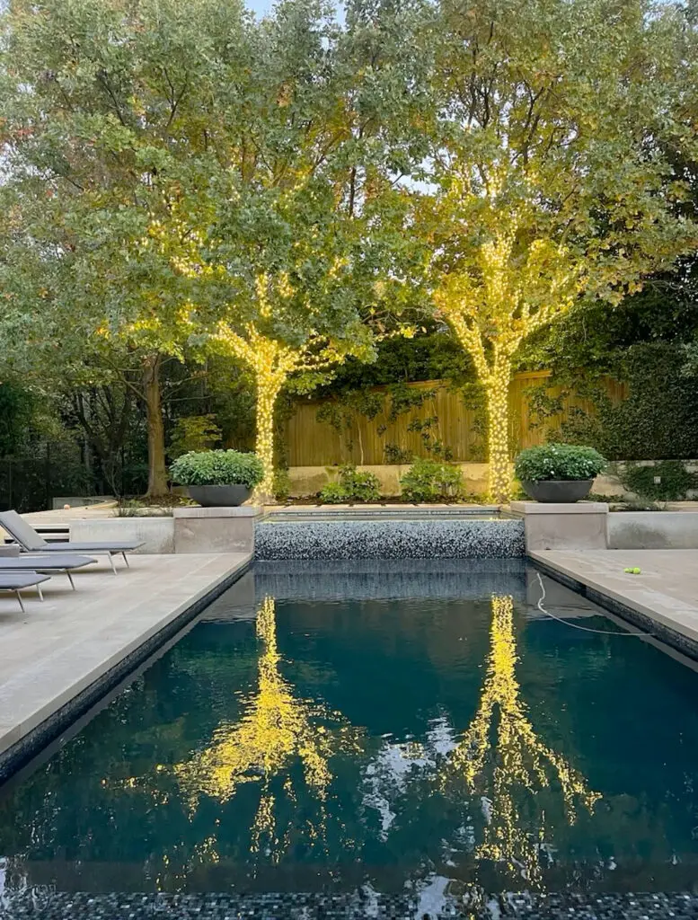 Two trees wrapped in warm lights reflecting across a dark rectangular pool at dusk